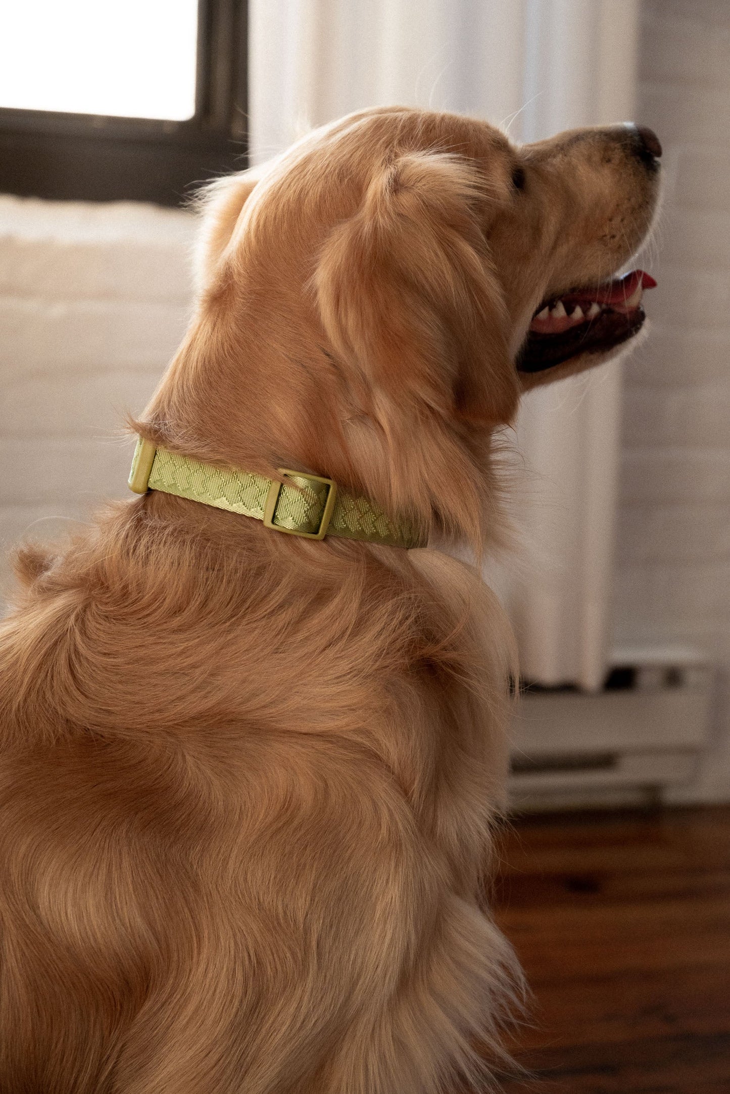 Collier Quotidien - Matcha