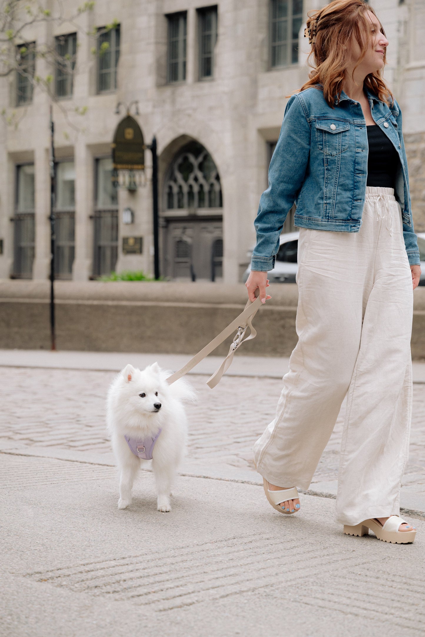 Classic 2.0 Harness Lila