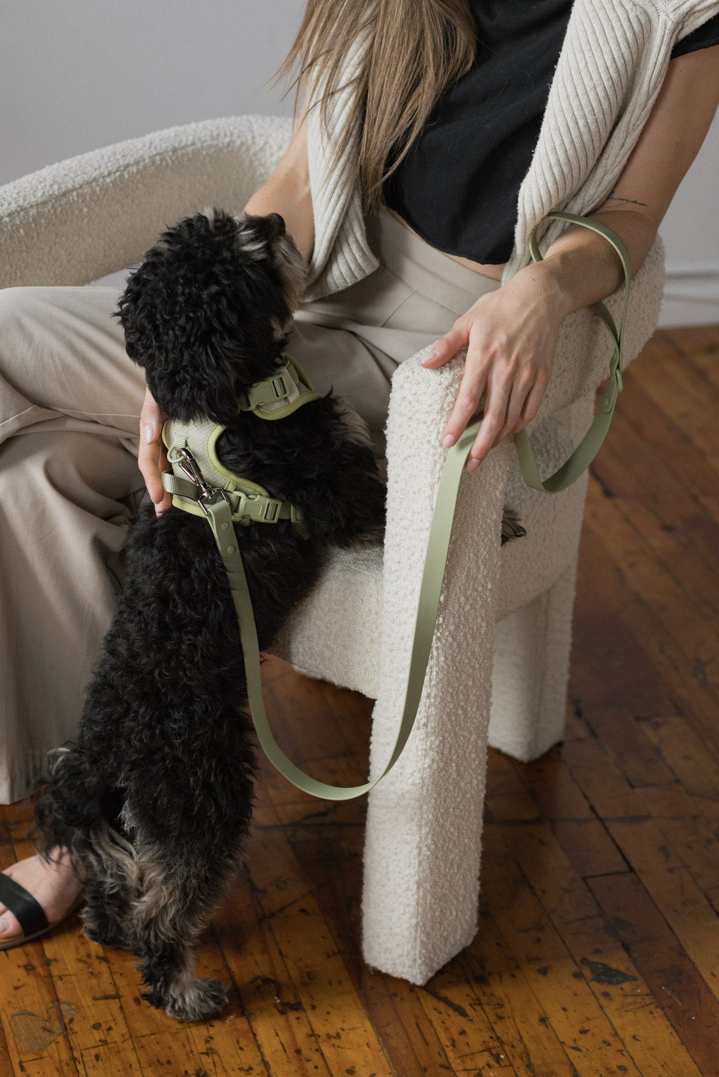 Classic 2.0 Harness Matcha
