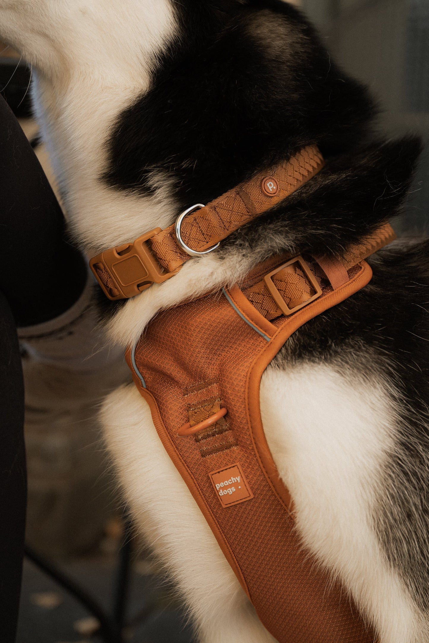 Collier Quotidien - Dulce