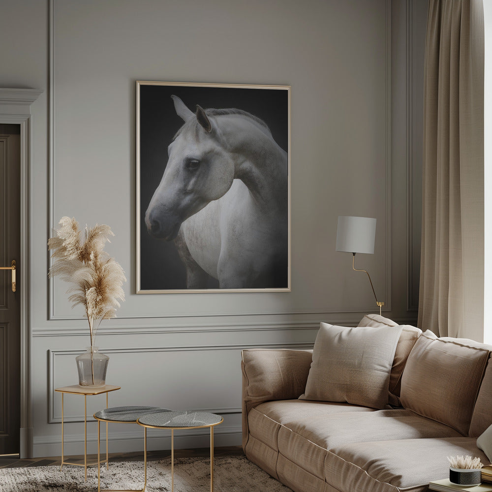 Art mural Maggie. Cheval