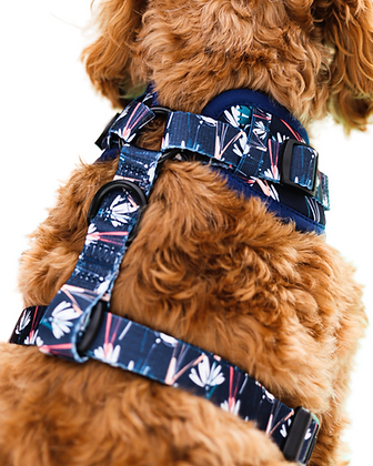 Harnais réglable pour chien Fleurs Célestes | Lila Pawtique