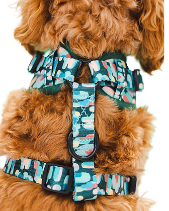 Harnais ajustable pour chien Amazônia Tribe | Lila Pawtique