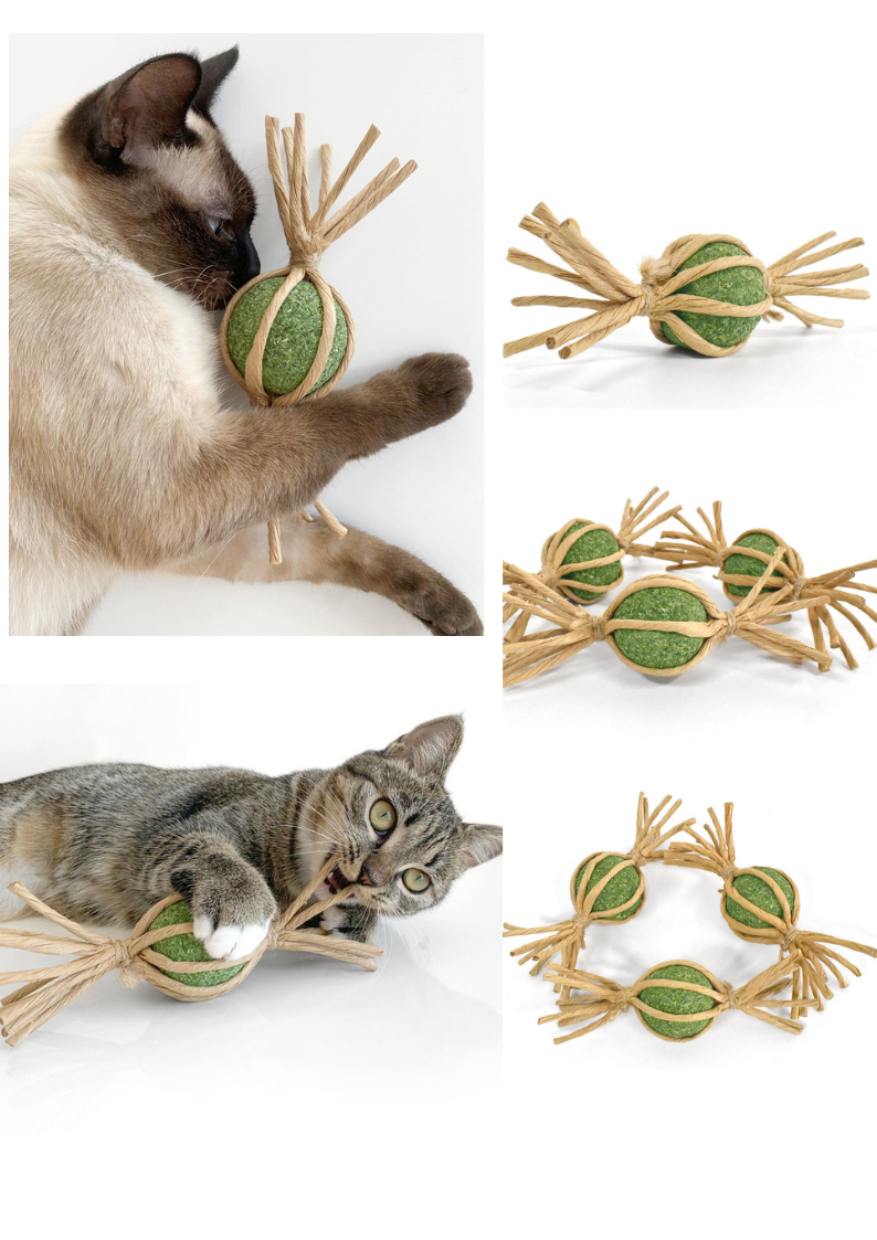 Sucreries en fruit de galle de vigne d'argent tressé avec balle d'herbe à chat