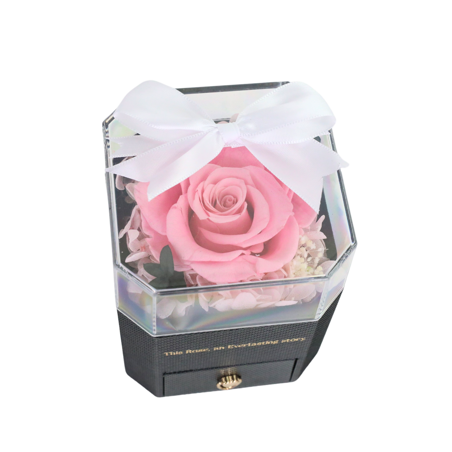 Rose Souvenirs Éternels