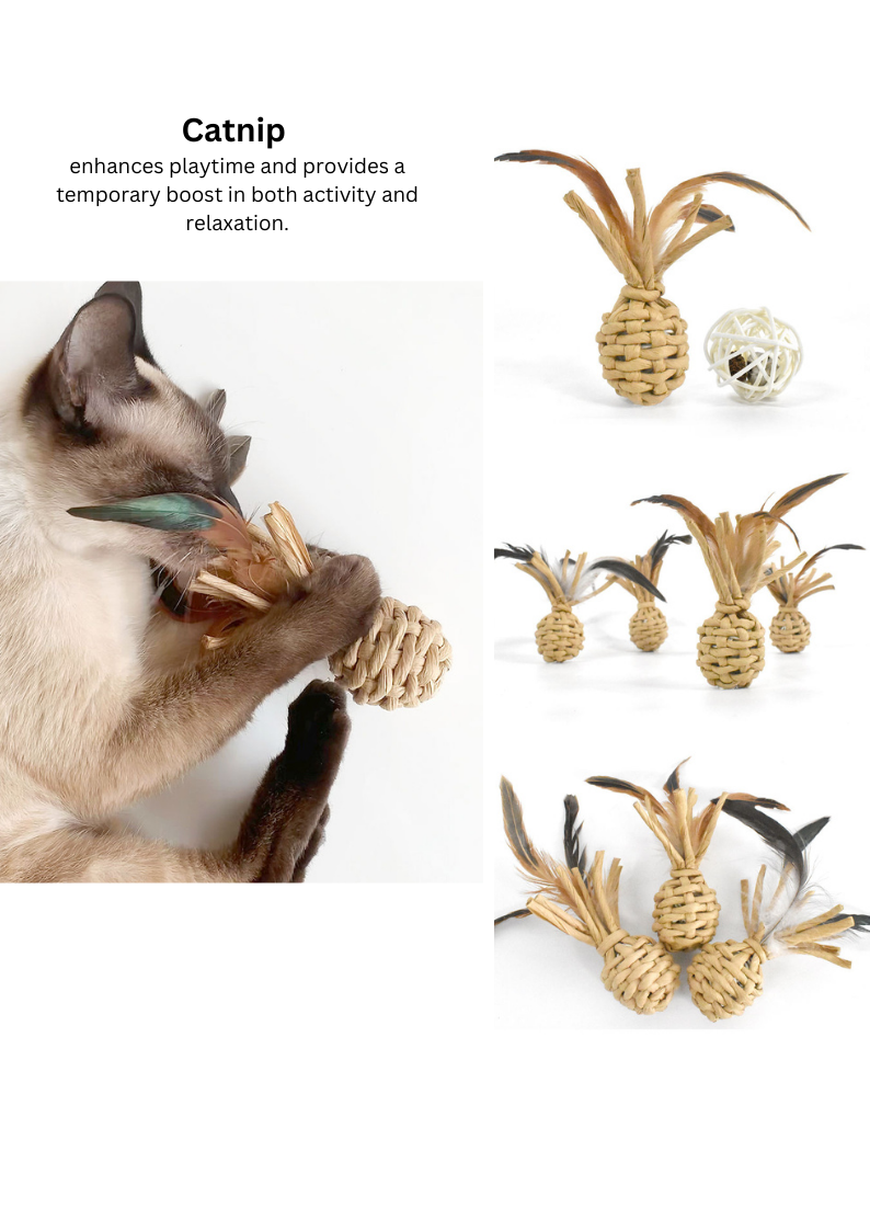 Ananas tressé à l'herbe à chat