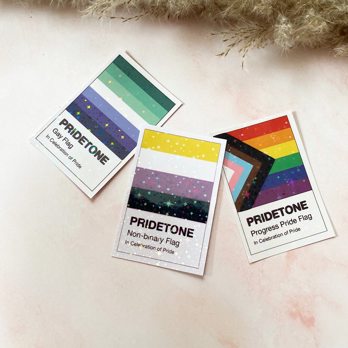Drapeau gay Pridetone | Autocollant Pride