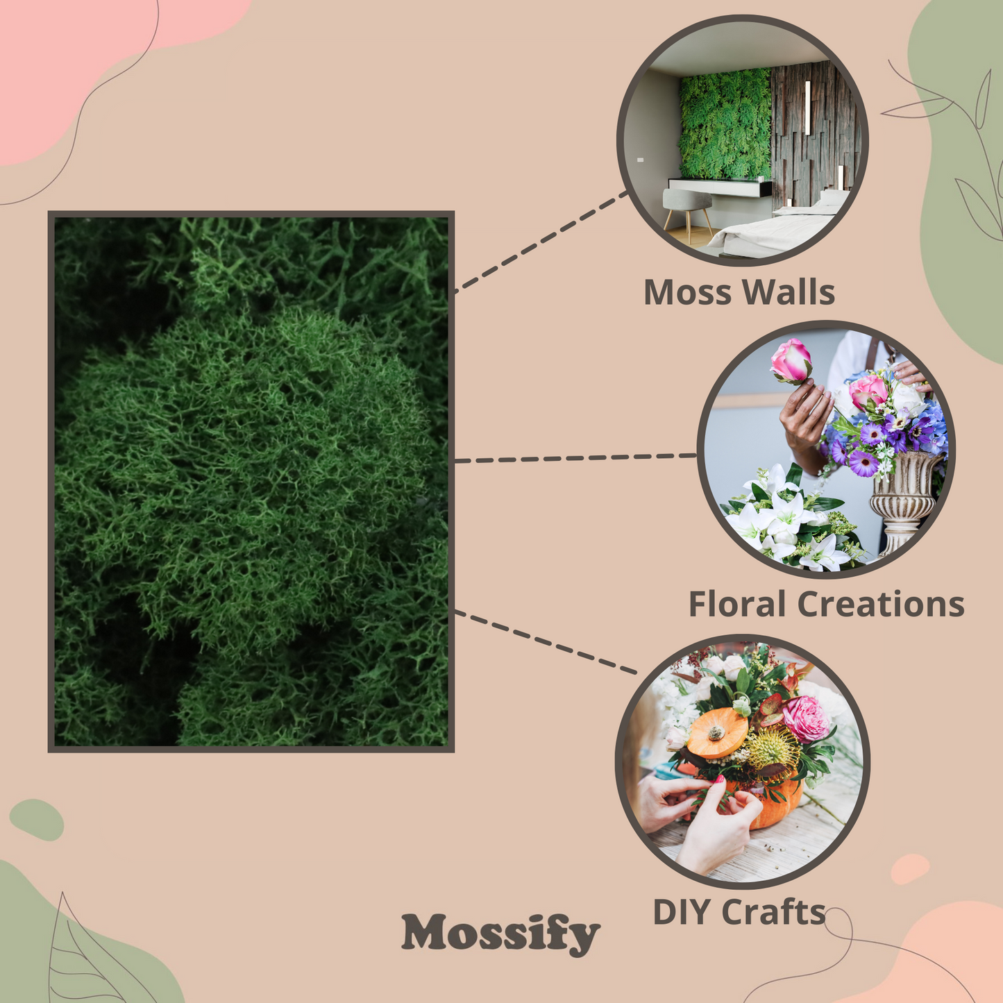 Mousse de renne stabilisée de qualité supérieure