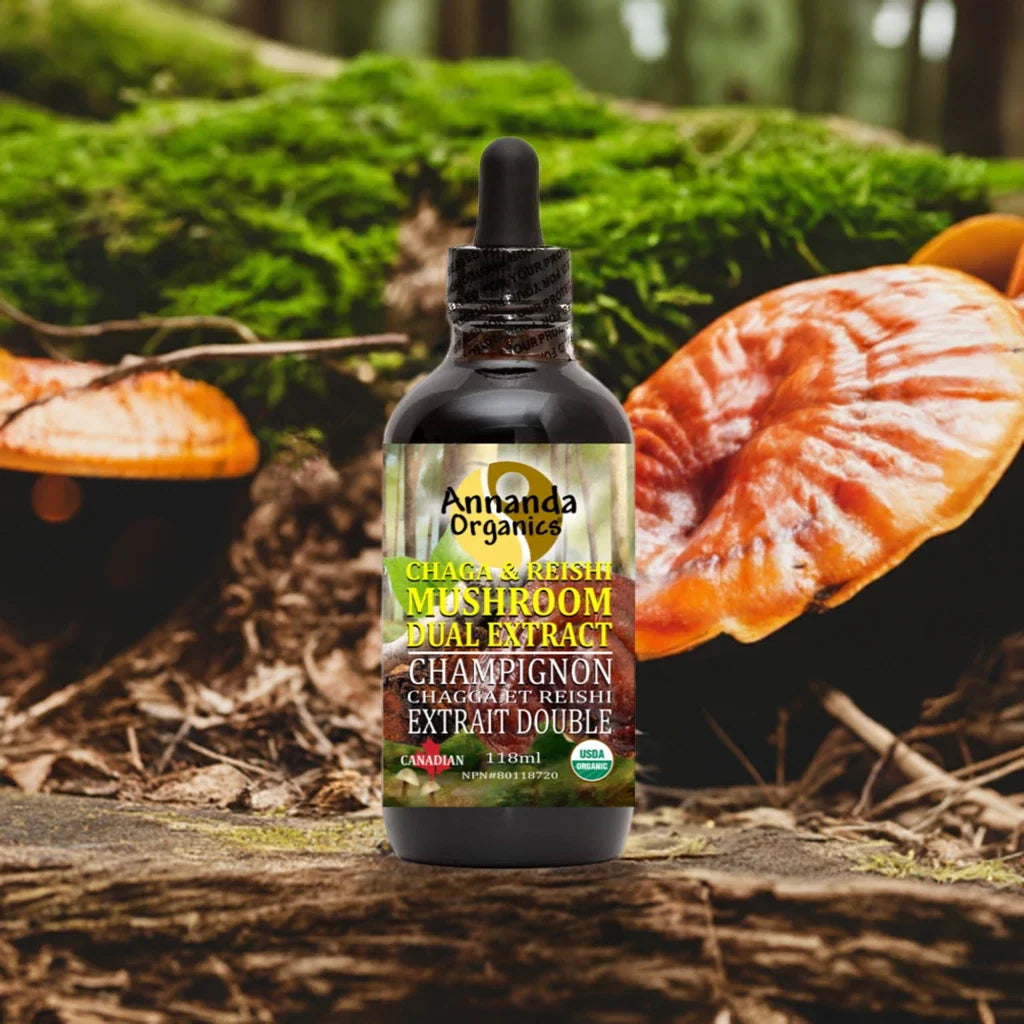 Wild Chaga and Reishi Extract