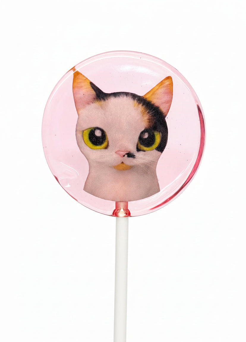 Sucette sans sucre - Chat