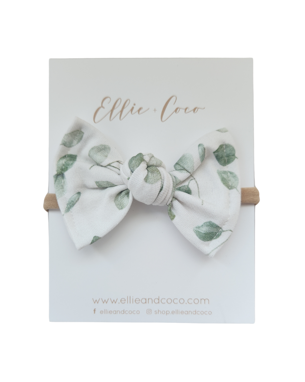 Nœud papillon | Eucalyptus