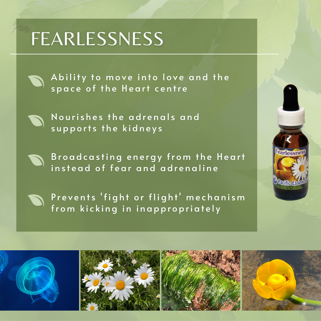 Fearlessness | Combination Essence