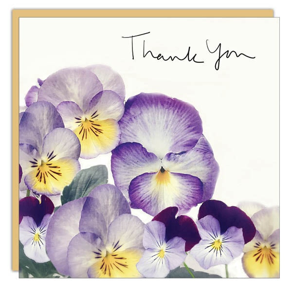 Gift Enclosure - Lost & Found - Thank You Pansies