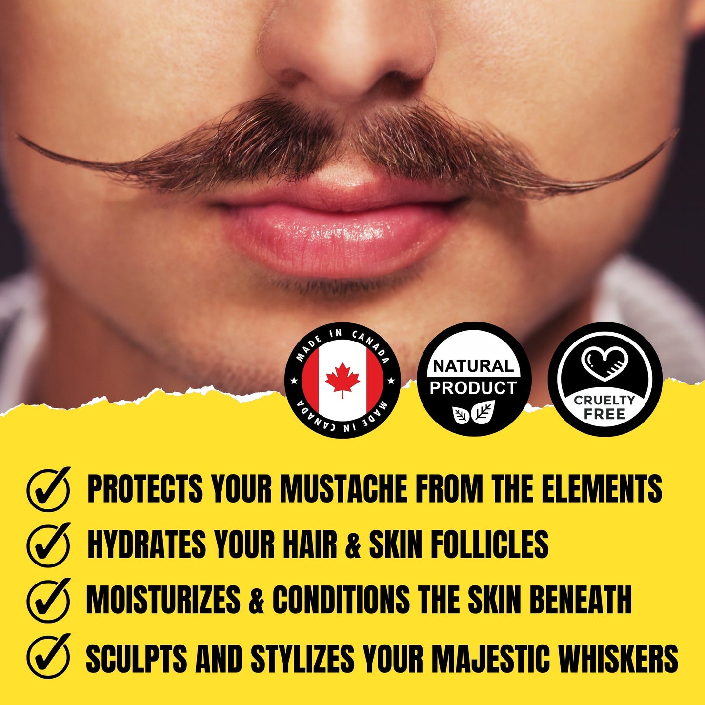 La cire à moustache The Professor (28g) – Bois de cèdre frais, Vanille douce et Cigare doux | Cire à moustache fixante forte | Collaboration Dr. Chris Schneider
