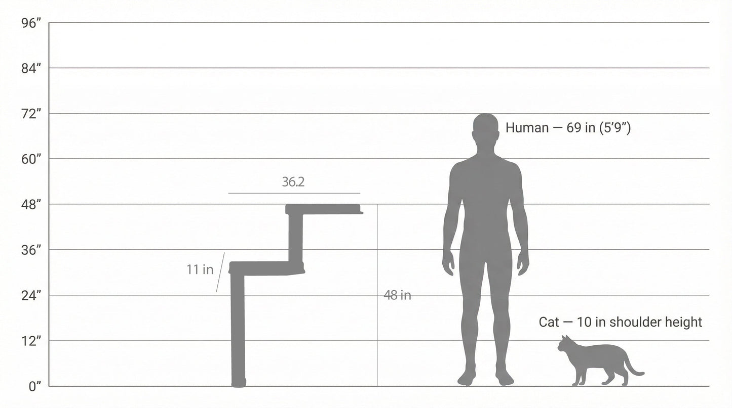 Parcours mural pour chat avec griffoir