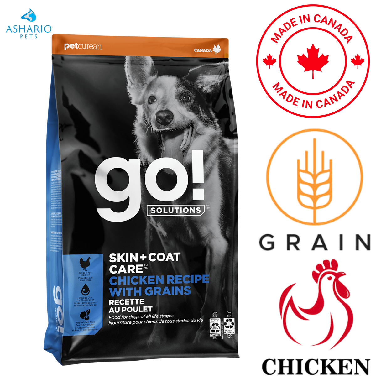 Go! Solutions - Skin + Coat Care Chicken With Grains Dry Dog Food