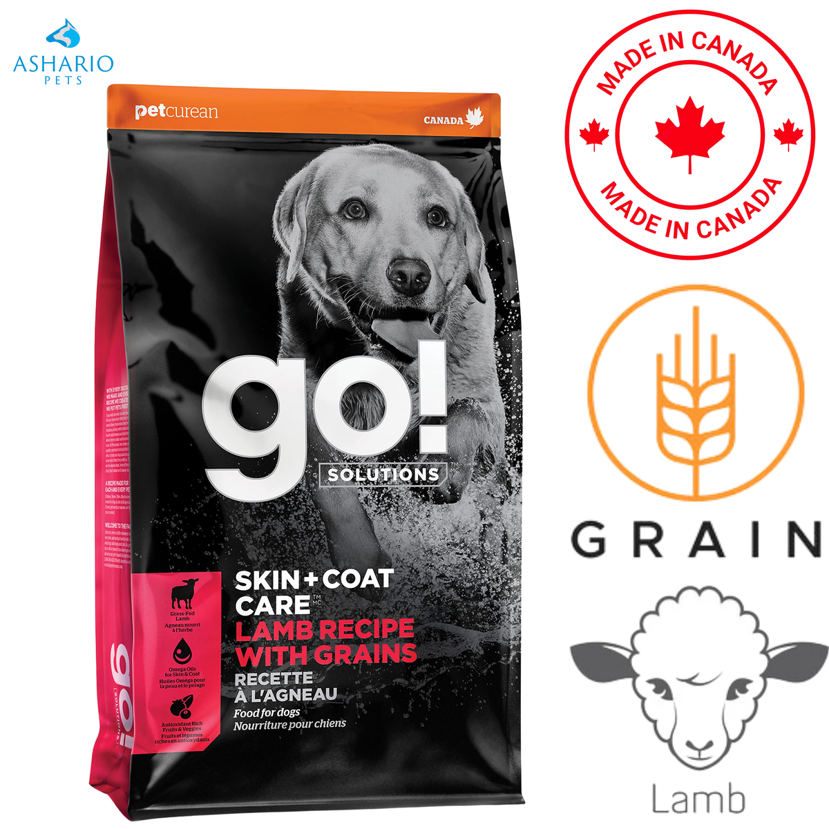 Go! Solutions - Skin + Coat Care Lamb With Grains Dry Dog Food