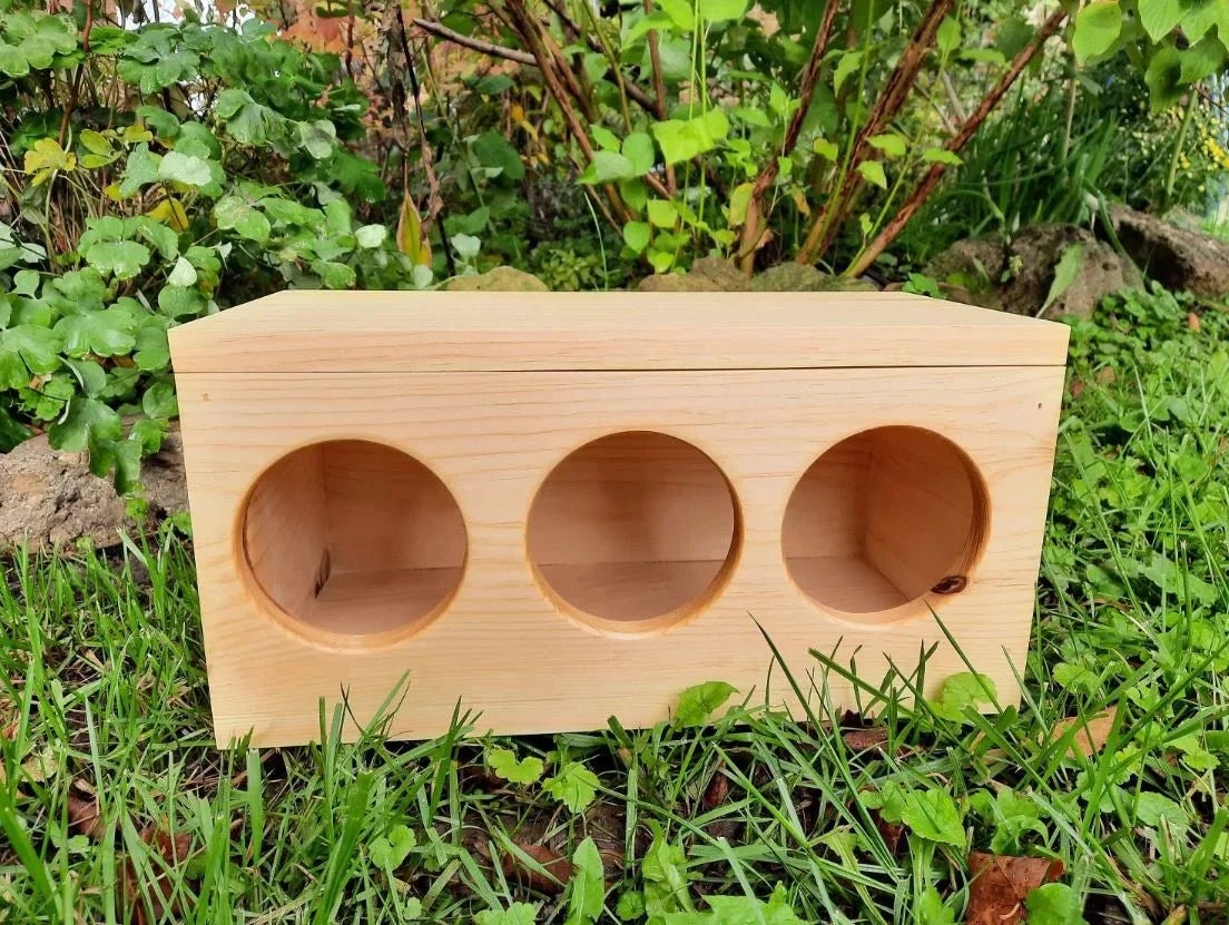 Hay Box for Bunnies & Guinea Pigs