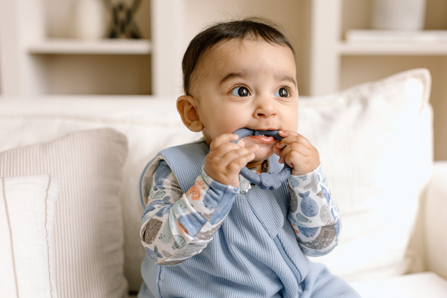 Wild Teether Ring Set - Blue Fog