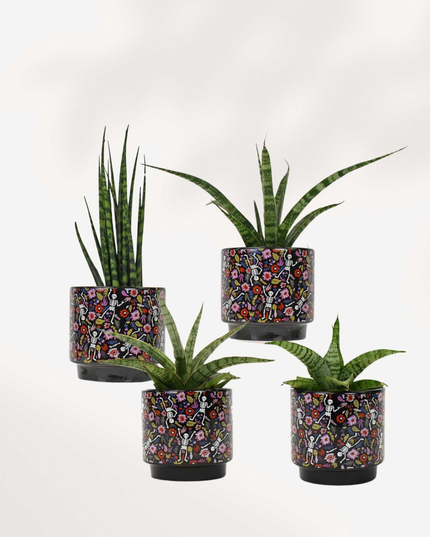 Pot du Jour des Morts