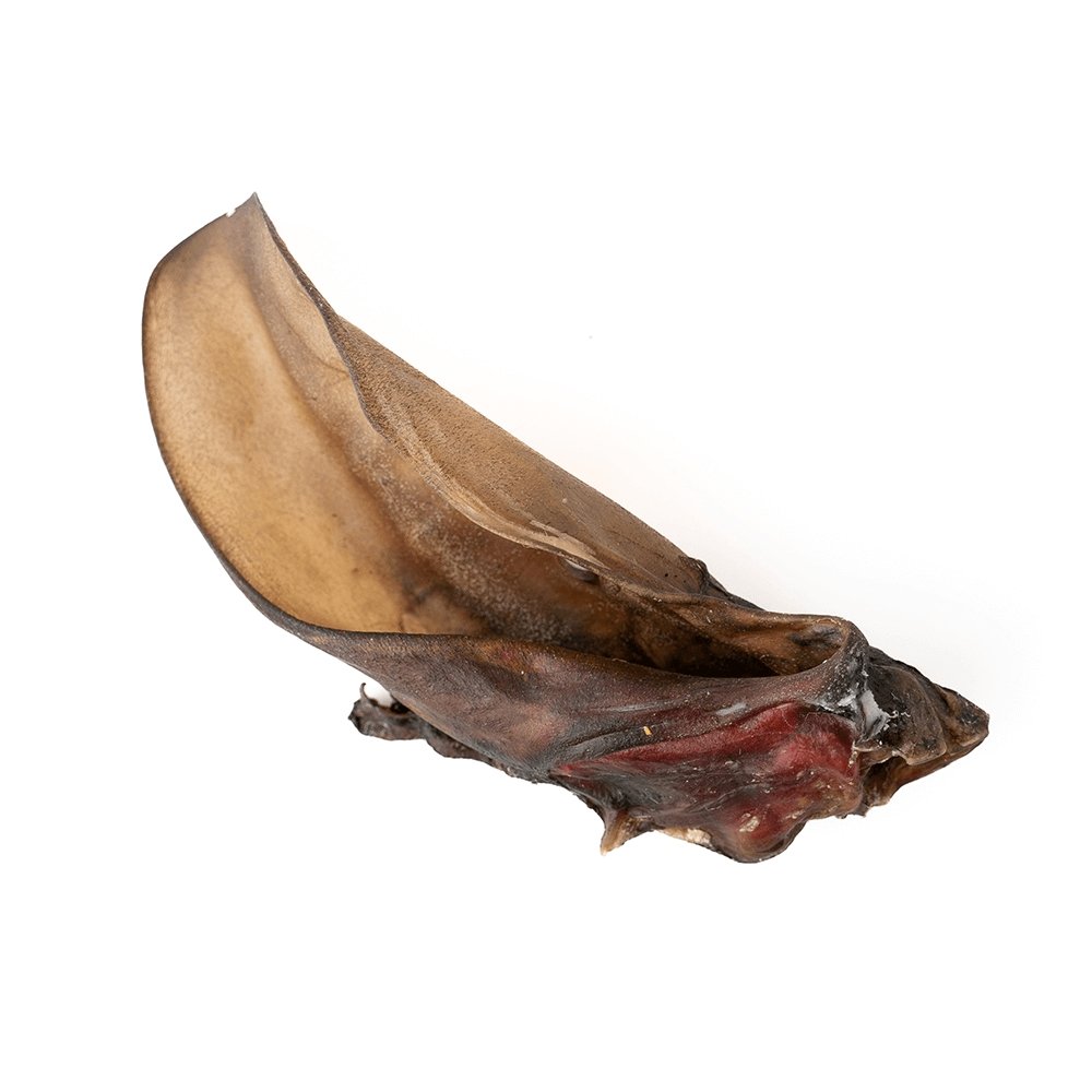 Giant Beef Ear