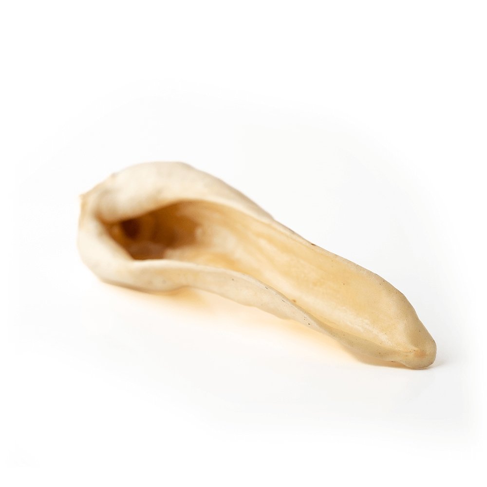 Oreille de chèvre