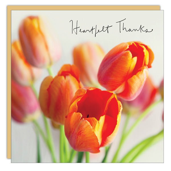 Stationery - Lost & Found Card - Heartfelt Thanks (Tulips)