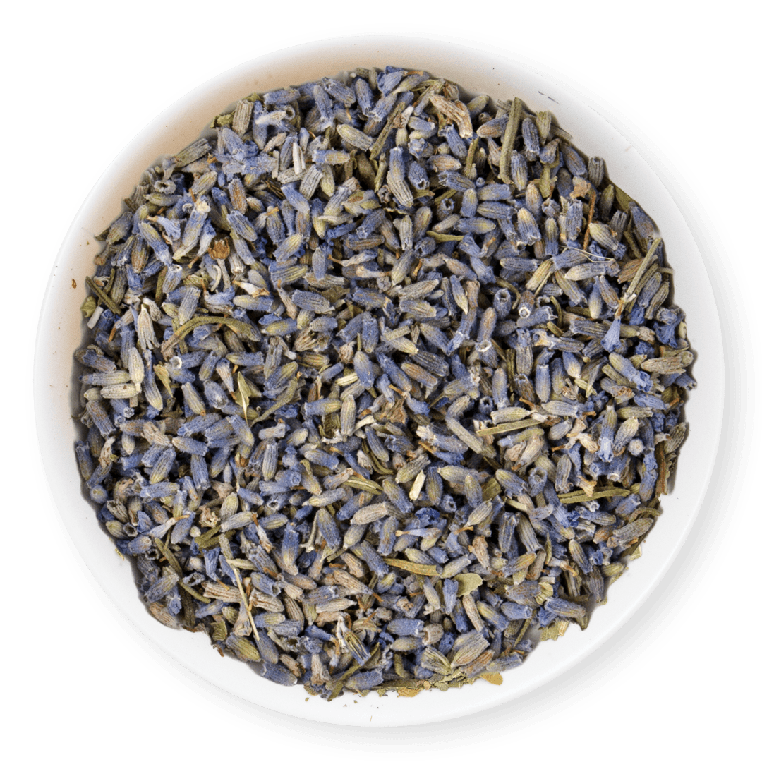 Lavande Sauvage Biologique