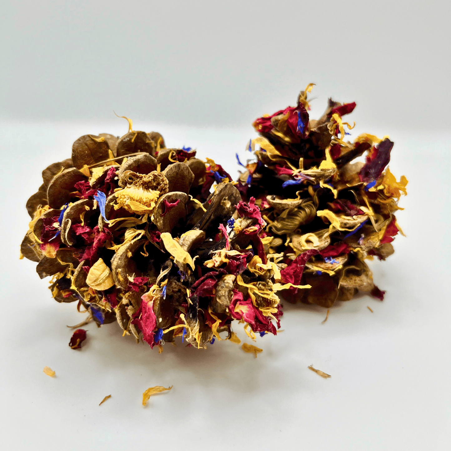 Pommes de pin trempées de fleurs