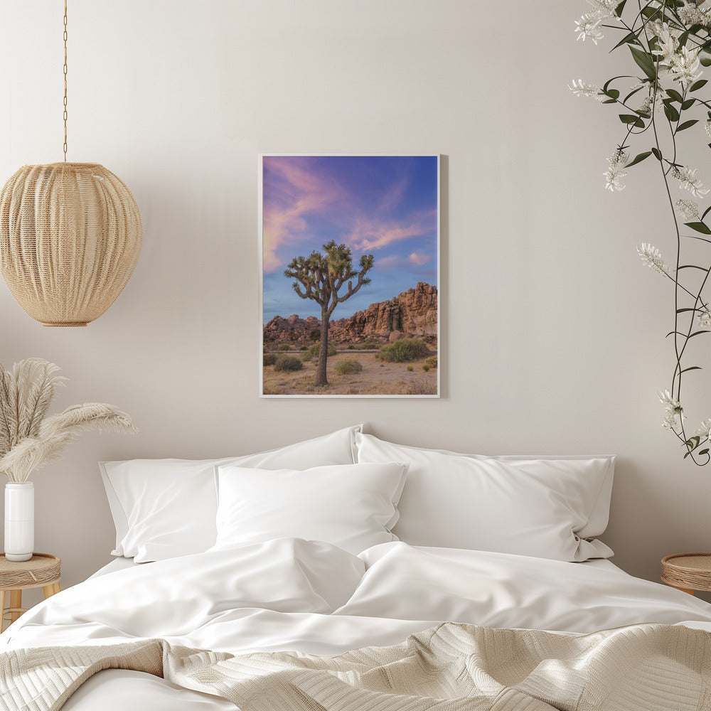 Art mural Atmosphère du soir à Joshua Tree