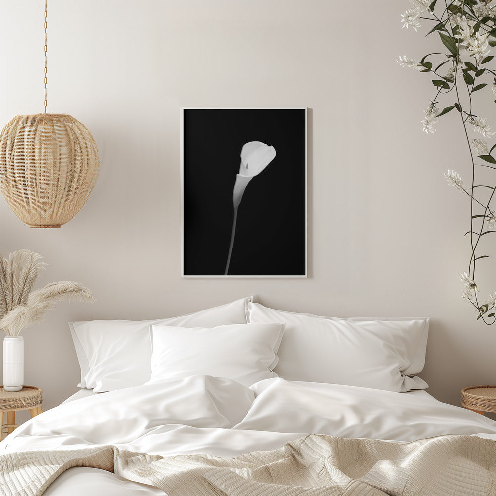Décoration murale Calla | motif sombre