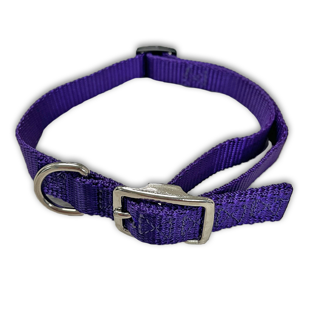 Flat Buckle Dog Collar (Adjustable)