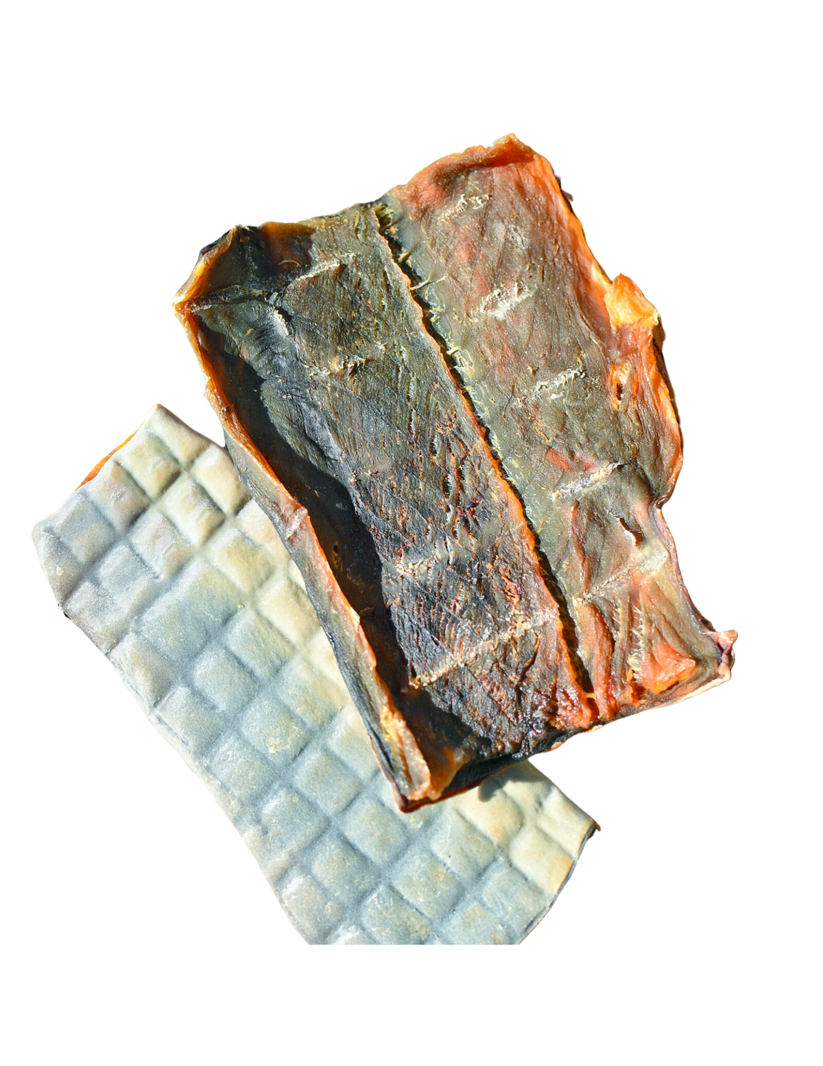 Rover Pet Products - Sumthn' Fishee Shark Skin Dog Treats