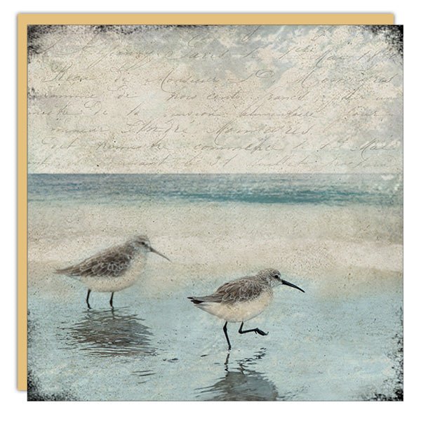 Stationery - Lost & Found Card - Sandpipers