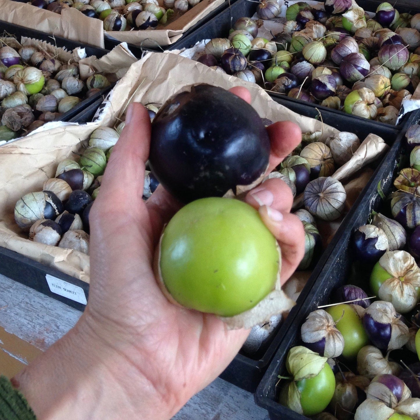 Mélange de tomatillos