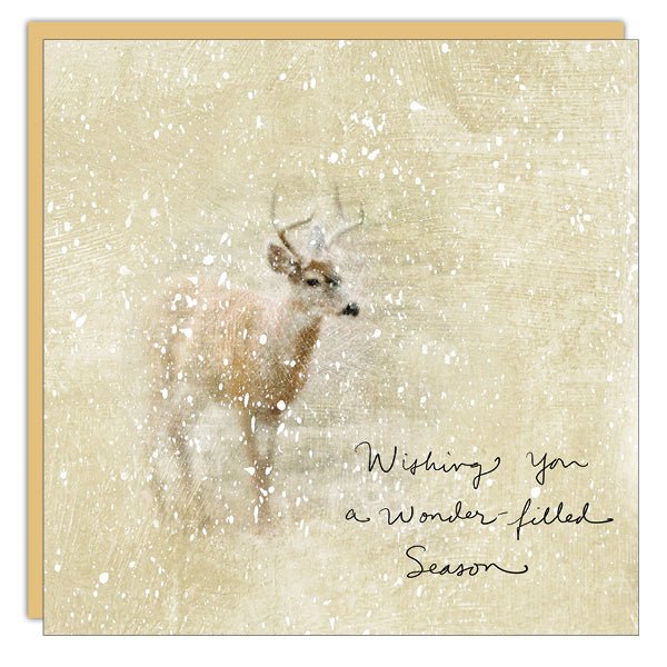Stationery - Christmas Card - Wonder Filled Season