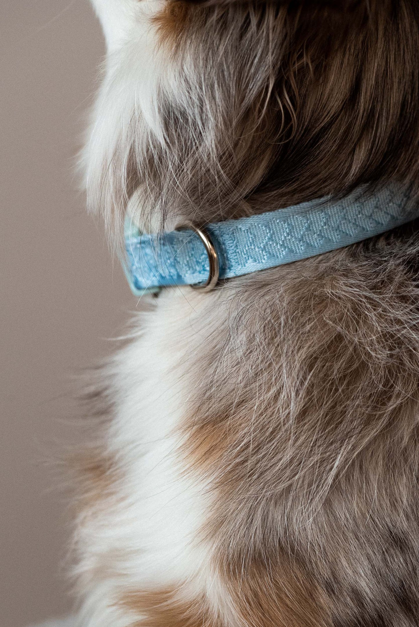Collier Quotidien - Nuage