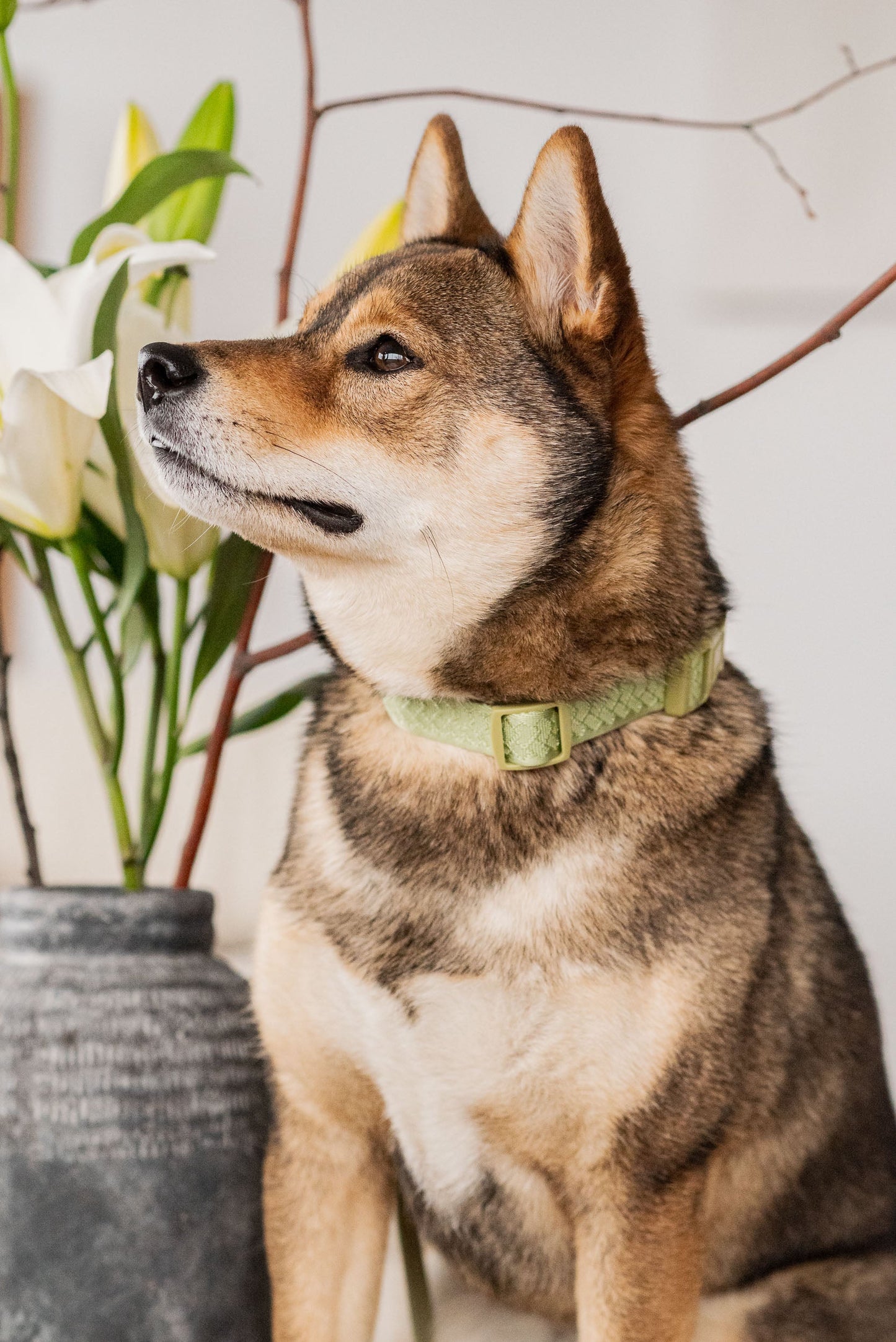 Collier Quotidien - Matcha