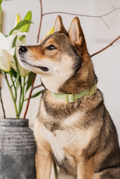 Collier Quotidien - Matcha