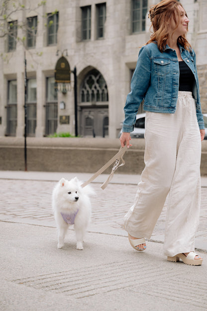 Classic 2.0 Harness Lila