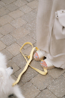 On-the-go Leash in Limoncello