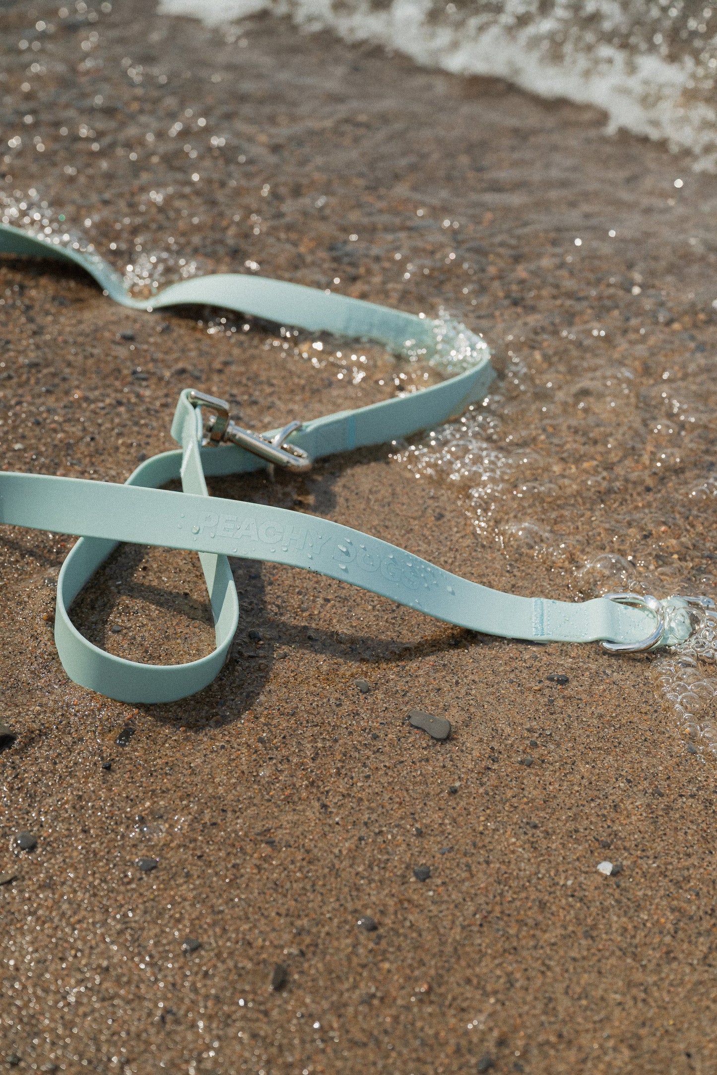Laisse pour les déplacements dans la couleur Breeze