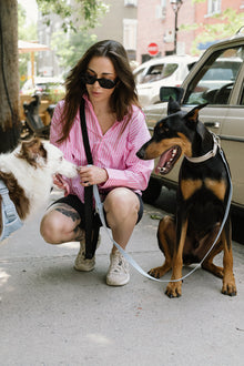 Daily Hands-Free Leash - Black