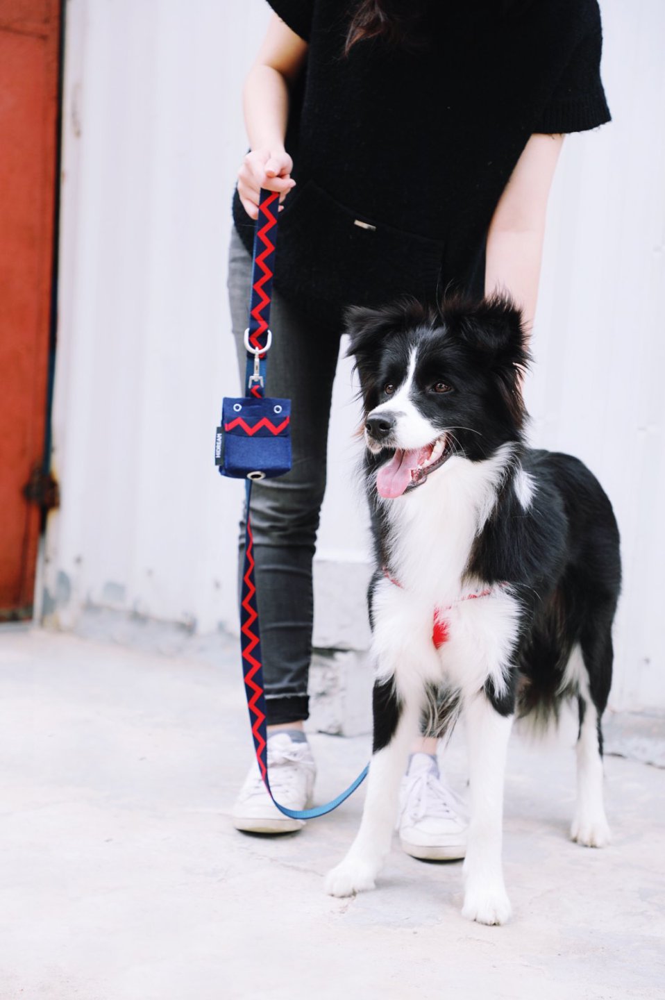 Momopets™ Série Arc-en-ciel – Distributeur de sacs à déjections canines en feutre