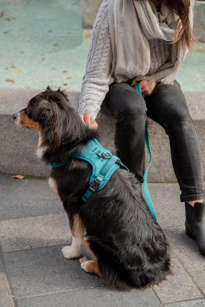 Classic 2.0 Harness Mojito