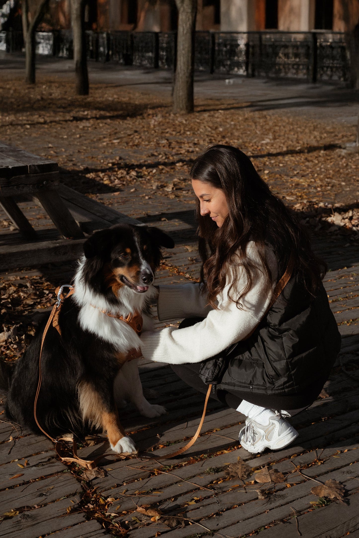 Daily Hands-Free Leash - Dulce