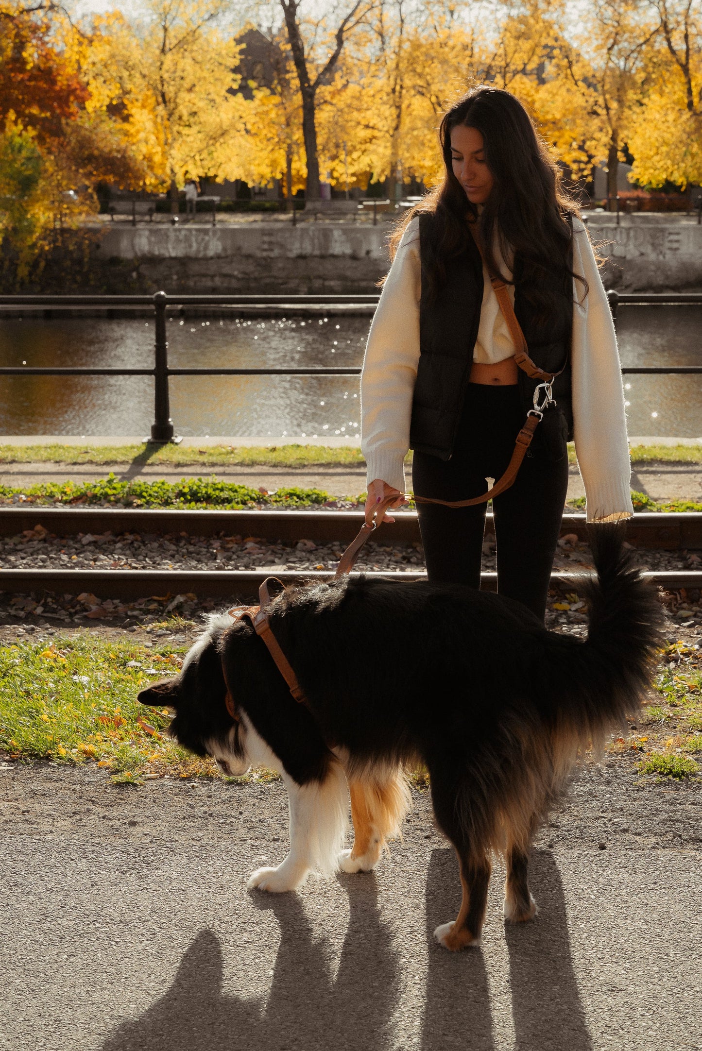 Daily Hands-Free Leash - Dulce