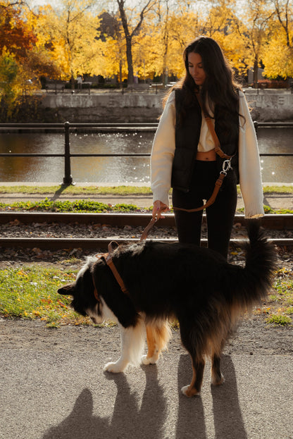 Daily Hands-Free Leash - Dulce