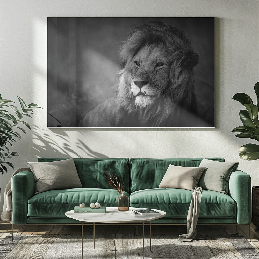 Décoration murale majestueuse. Lion