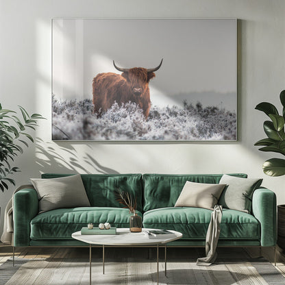 Décor mural Highlander